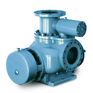 FH1/ FH2 CENTERLINE MOUNTING HORIZONTAL CHEMICAL PUMP