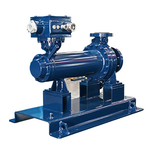 Canned Motor Pump