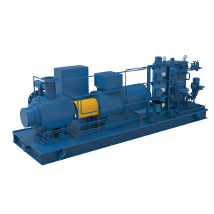 FB4 Series Pumps